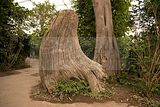 leipzig zoo-01_07_2011_gondwanaland_171